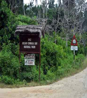 Jozani Chwaka Bay