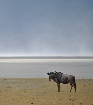 Ngorongoro Conservation Area