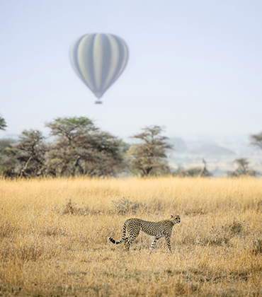 Serengeti National Park