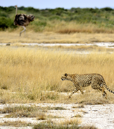 Tarangire National Park