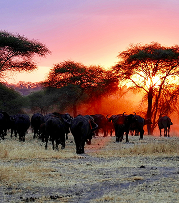 Arusha National Park