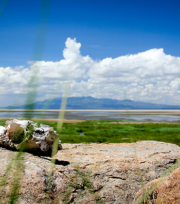 Lake Manyara National Park